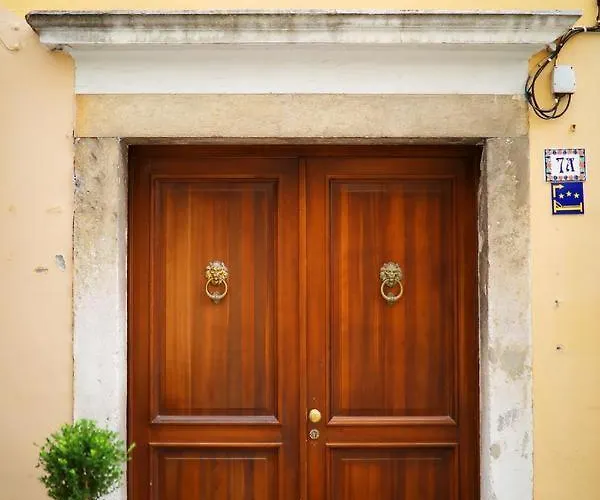 Old Town Stylish Andi Ζαντάρ